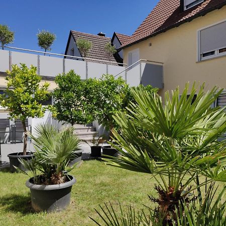Haus Zum Schlosspark Veitshöchheim Exteriör bild